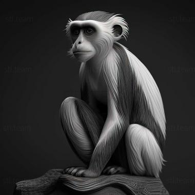 3D model Piliocolobus foai (STL)